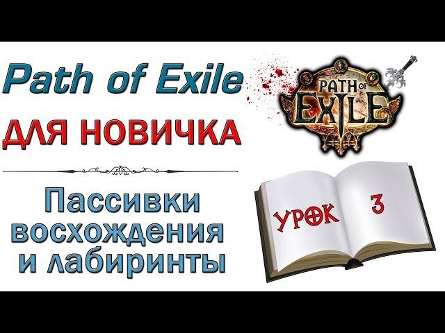 Path of Exile:  для новичков - Пассивки восхождения и лабиринты