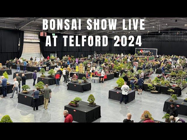 Bonsai Show Live at Telford 2024