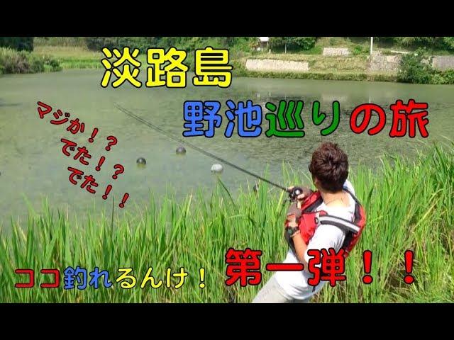 ココ釣れるんけ！淡路島・野池巡りの旅！第一弾！