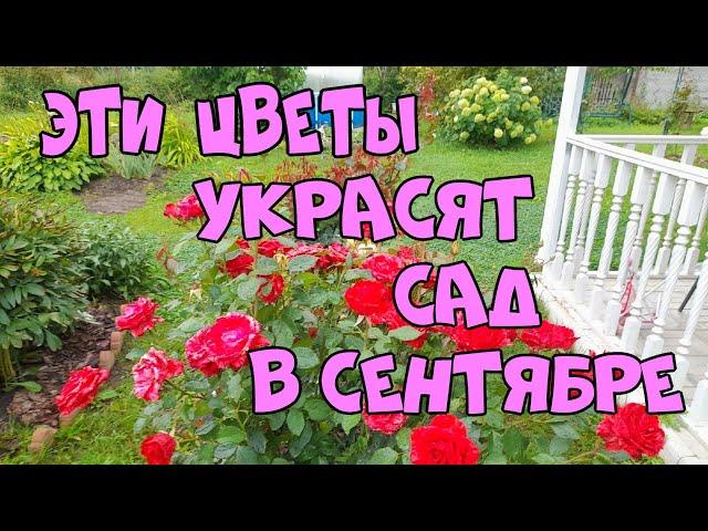 130 Прогулка по осеннему саду!Что цветет в сентябре!