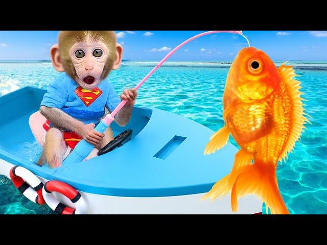 Monyet BonBon Lucu Memancing dan Berenang Bersama Para Bebek di Rumah - BonBon Indonesia