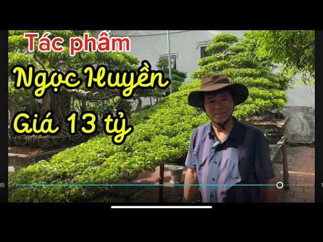 Báo giá công khai tác phẩm Ngọc Huyền giá 13 tỷ tại vườn anh Sơn cảnh Thụy yên Dũng Bắc Giang