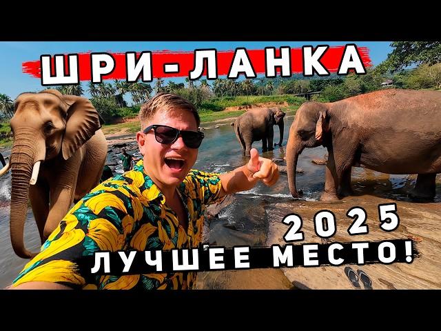 Шри-Ланка 2025 КРУЧЕ Таиланда? ИДЕАЛЬНЫЙ ОТДЫХ: Унаватуна и Пиннавела - СЛОНЫ, пляжи, ЦЕНЫ, отель!