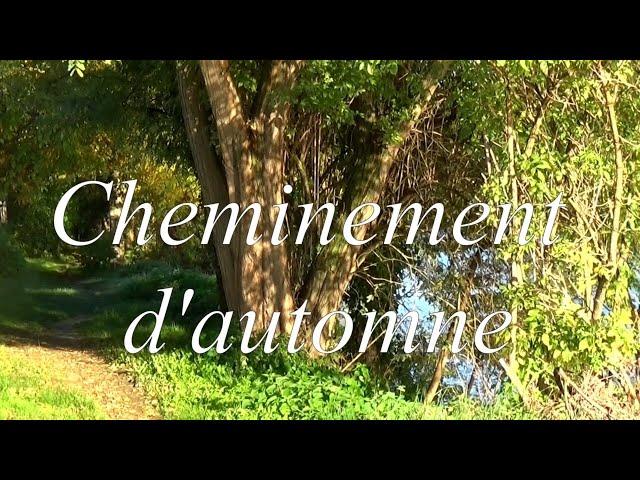 Cheminement d'Automne - Pat Chaddy