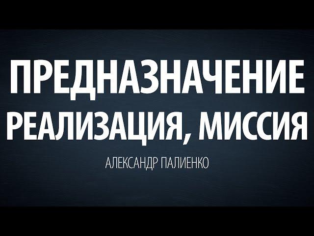 Предназначение, реализация, миссия. Александр Палиенко.