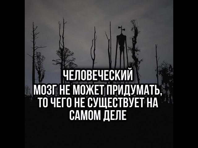 Подпишись! Новые факты каждый день #интересно#интересныефакты #факты#история#шок#развитие#shorts