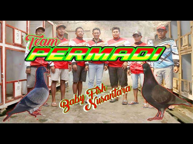 LIPUTAN PLAYER Team PERMADI Sidoarjo