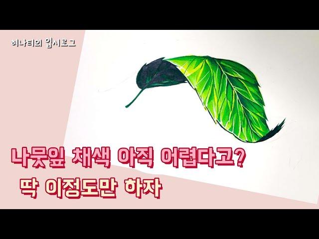 [기초디자인] 나뭇잎 어떻게 그려야할지모르겠다면! 이영상으로 끝내자/입시미술/Drawing Leaves