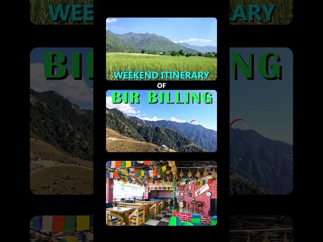 Bir Billing - Weekend Itinerary ️ #birbilling #paragliding #shorts #youtubeshorts #travelshorts