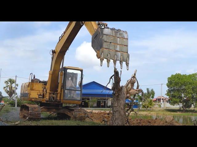 Amazing Excavator Unloading Dirt Mud and Tree ep04 #excavator #dumptruck