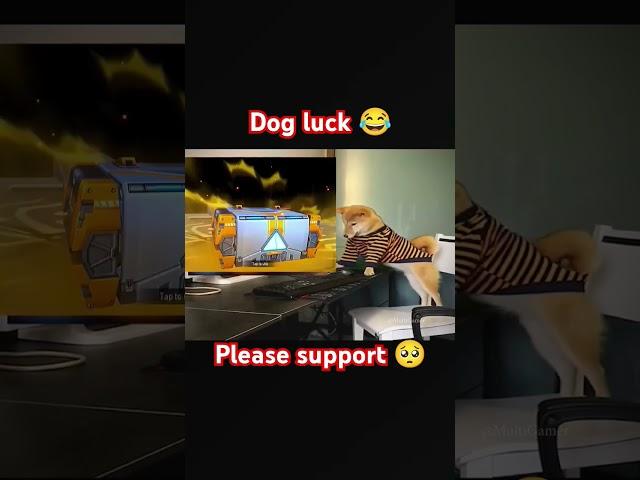 Dog luck #freefire #shortvideo #pizza  #gaming #evo #spin #funny #ffviral