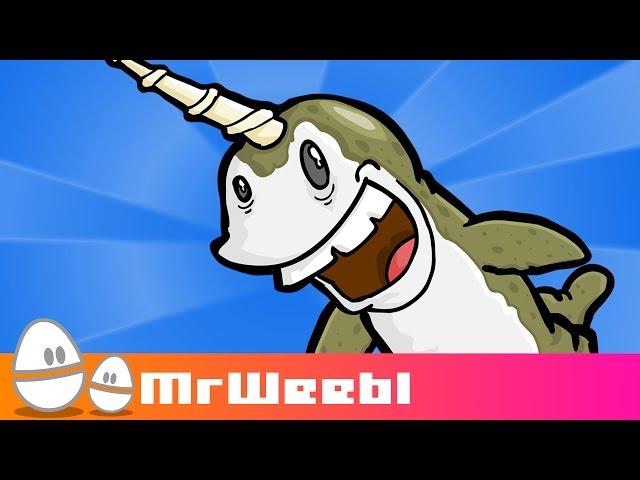 Narwhals : animated music video : MrWeebl