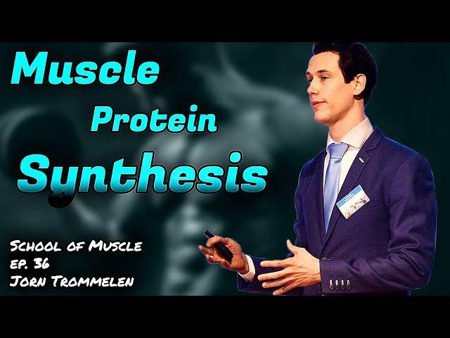 Muscle Protein Synthesis with Jorn Trommelen