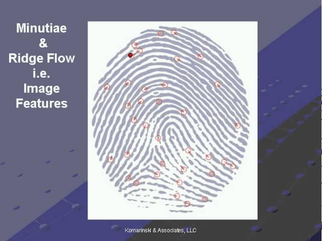 Fingerprint Identification: The Role of Research in Fortifying the Forensic Sciences