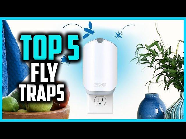 Top 5 Best Fly Traps in 2024