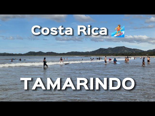 TOUR Of TAMARINDO, Costa Rica + Popular Town  Top Surfing Beach #travel #tourism