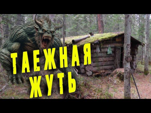 /Неизвестное существо напало на зимовье охотника/