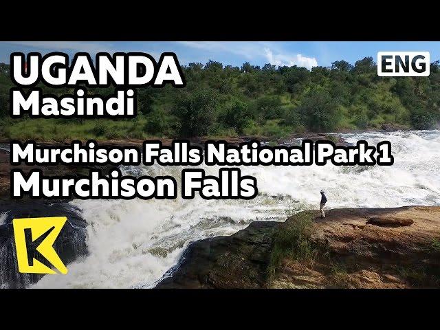 【K】Uganda Travel-Masindi[Uganda 여행-마신디]머치슨 폭포 국립공원 1 머치슨 폭포/Murchison Falls/National Park/Nile