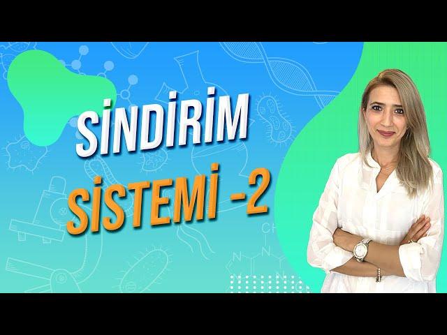 Sindirim Sistemi -2 | Seda Hoca Biyoloji ( 10. Ders ) #sedahocabiyoloji #ayt2024