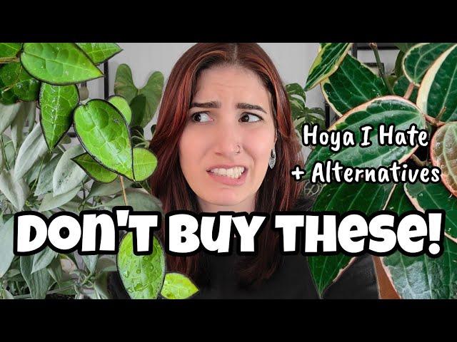 HOYA NO BUY LIST + ALTERNATIVES!!  if these 5 houseplants give you problems, try these instead!!