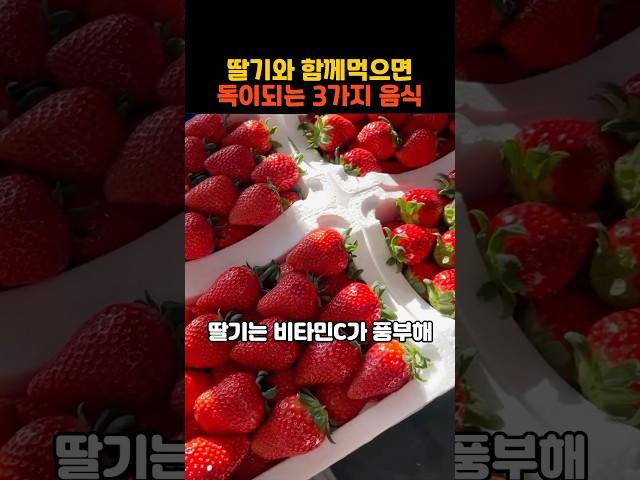 딸기와 함께먹으면 독이되는 3가지 음식
