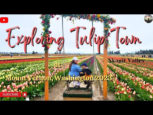 Tulip Town at Skagit Valley ( seattle area ) #seattle
