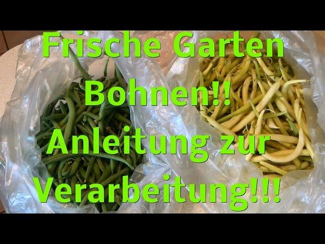 Frische rohe Garten Bohnen! Vorsicht giftig!! Anleitung  Verarbeitung !!