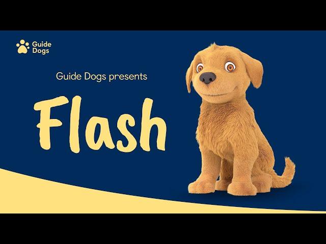 GUIDE DOGS | FLASH ANIMATION