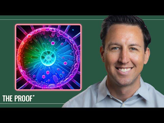 How Long Does the Microbiome Recover After Antibiotics? | Dr. Will Bulsiewicz | The Proof Clips #271