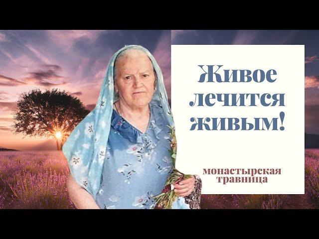 Монастырская Травница | Живое лечится живым!
