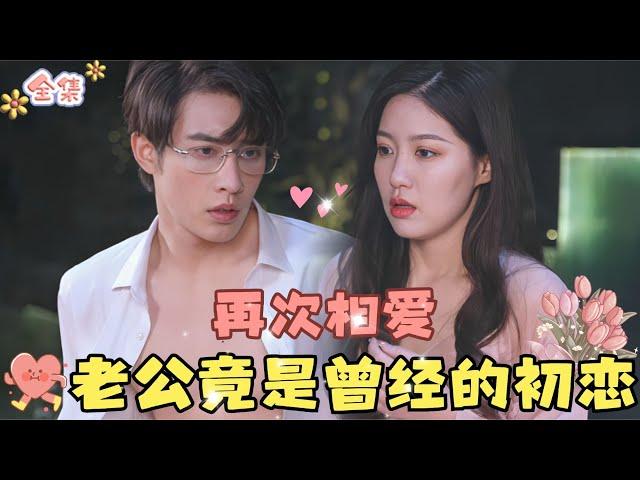 Shen Haonan&Dai FengyiAfter a Face Swap, She Discovers Her Husband Is Her Ex Who Once Abandoned Her