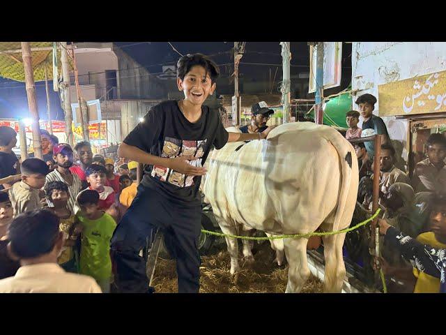 Bought my Cow Prank on my Friend & PublicUnloading my Cow