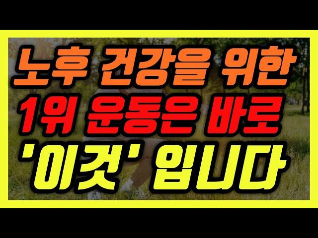 노후 건강을 위한 1위 운동을 바로 '이것' 입니다 │ 노후건강, 노후준비, 노후대책