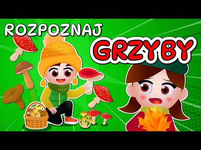  Kazio i TEST GRZYBIARZA - Grzybobranie dla dzieci - Rozpoznawanie grzybów 