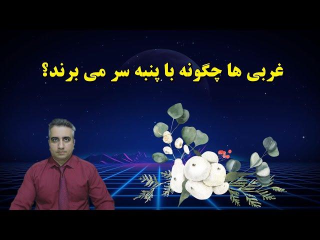 غربی ها چگونه با پنبه سر میبرند؟