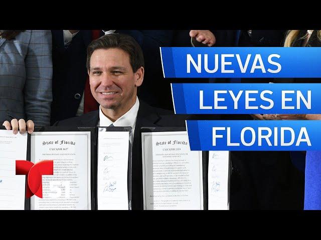 Las nuevas leyes de Florida que entran en vigencia el 1 de julio: conoce cómo te afectarán