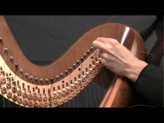 Episode 10 - How to Change a Harp String