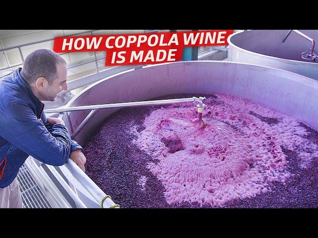 How One of California's Biggest Wineries Produces Over 12 Million Bottles per Year — Dan Does