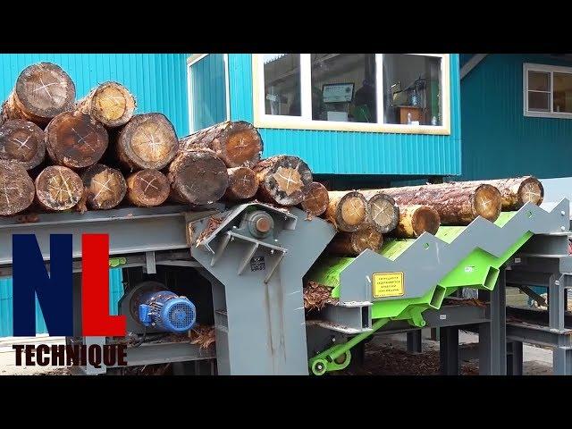 Amazing Sawing Lines with Automatic Sawmill Machines - Modern Wood Processing Factory