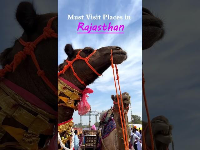 Must Visit Places in Rajasthan ️