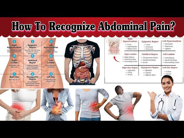 Abdominal Pain | Abdominal Region | Medical Knowledge