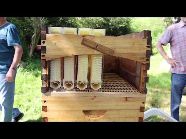 Imkerverein Nidda/Schotten - Der Flow Hive