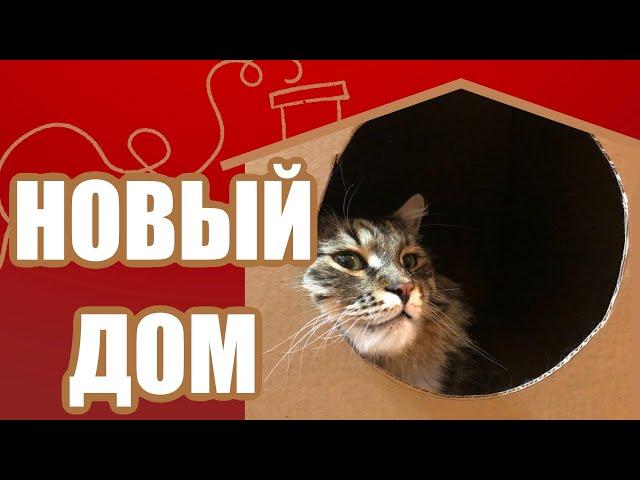 ПАПА строит ДОМ ДЛЯ КОТА