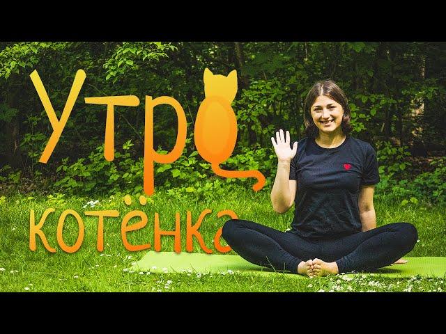 Зарядка | УТРО КОТЁНКА | Йога для детей