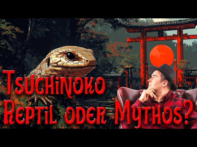 Tsuchinoko: Japanischer Kryptid oder seltenes Tier?