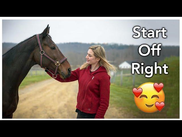 New Horse Owner Guide 