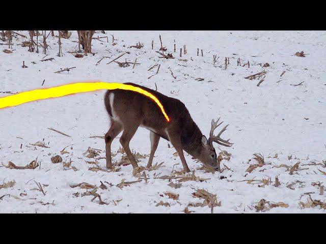 11 Shots in 11 Minutes! 2021 Bowhunting Shot Compilation Pt. 2