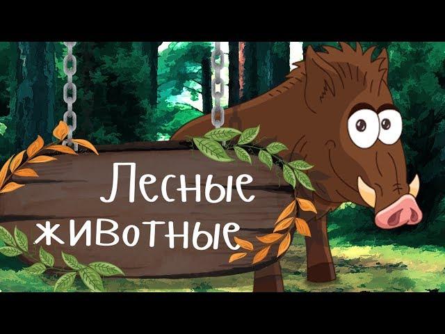 ДИКИЕ ЖИВОТНЫЕ В ЛЕСУ  Учим животных - развивающие мультики для малышей про животных на русском