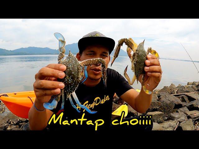 Cari Ketam Di Lumut Perak//Ketam Bunga Banyak Di Sini