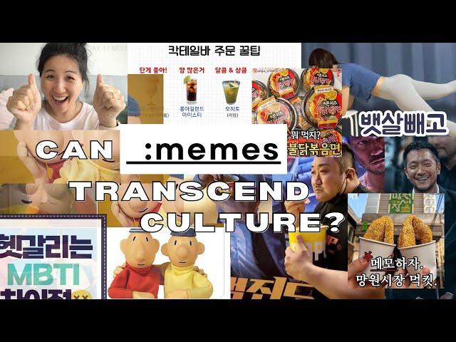 the hidden world of korean memes